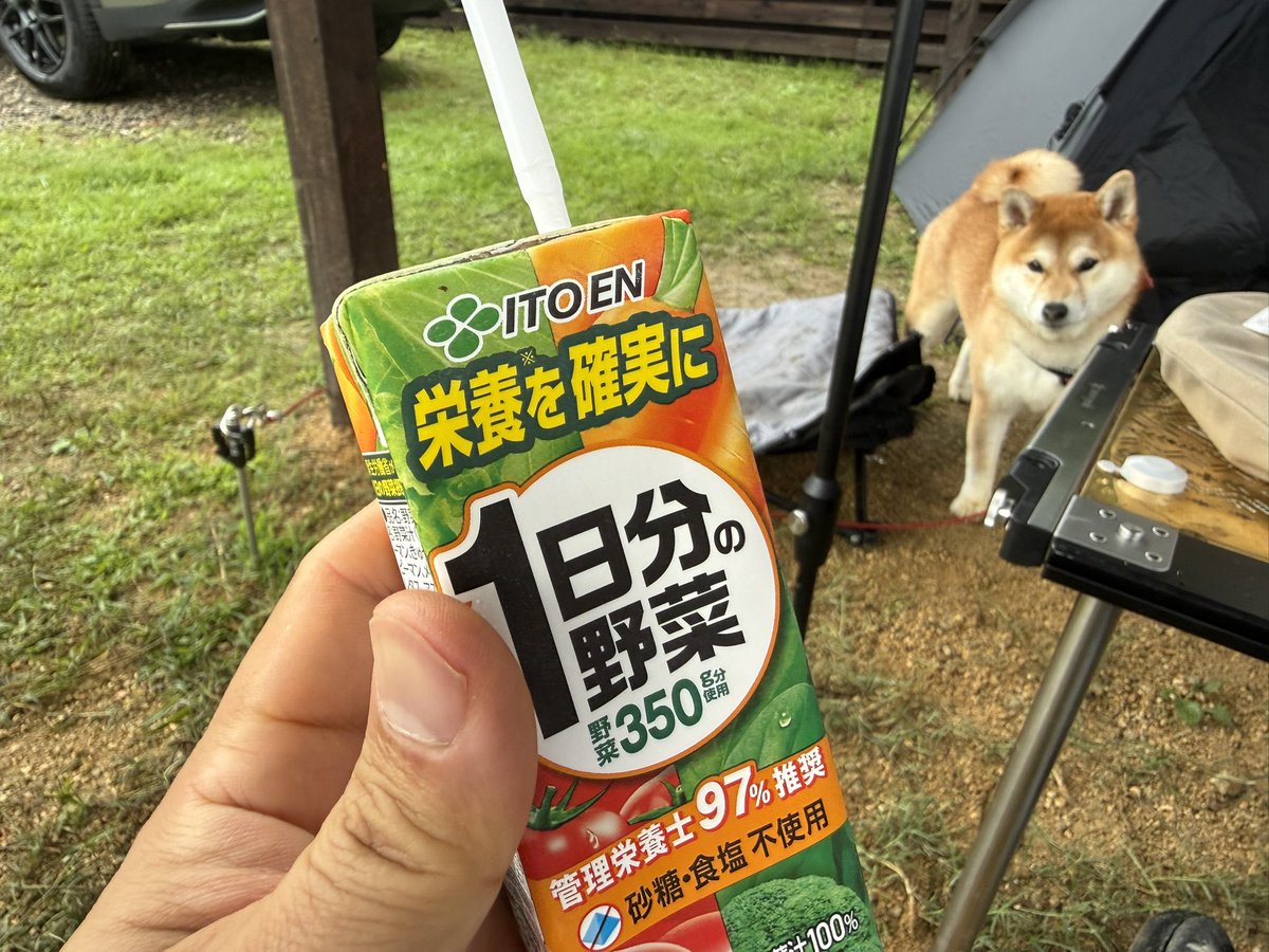 sin819camp's tweet photo. おはようございます https://t.co/ep8wtmInQY