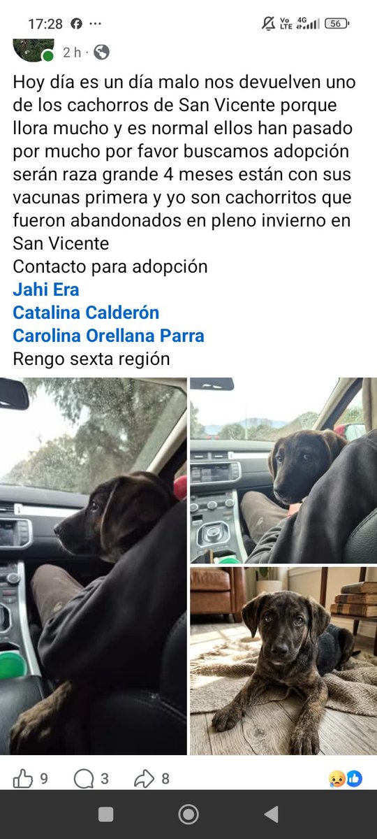 RockdrigoRoman's tweet photo. Lo vamos a dejar a cualquier parte de la región de O'higgins. https://t.co/avjftfCKnF