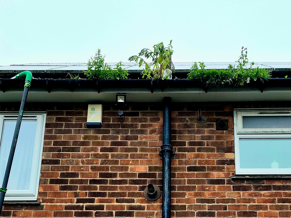 ShinyWindowsUK's tweet photo. ⚠️ Blocked gutters in Nottingham? We clear them from the ground with powerful vacuums &amp; 12m poles – no ladders! 📹 Live camera ensures every blockage gone in Forest Fields, Sherwood &amp; Carrington. Fixed price. ✅
📞 07826 852378 | https://t.co/KbEoPAaqG7
#GutterCleaningnottingham https://t.co/4U1NN39JZk