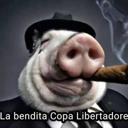 CentralDoBrega's tweet photo. ISSO É LIBERTADORES, FRANÇA

LA BENDITA https://t.co/8kzUVD1OSH