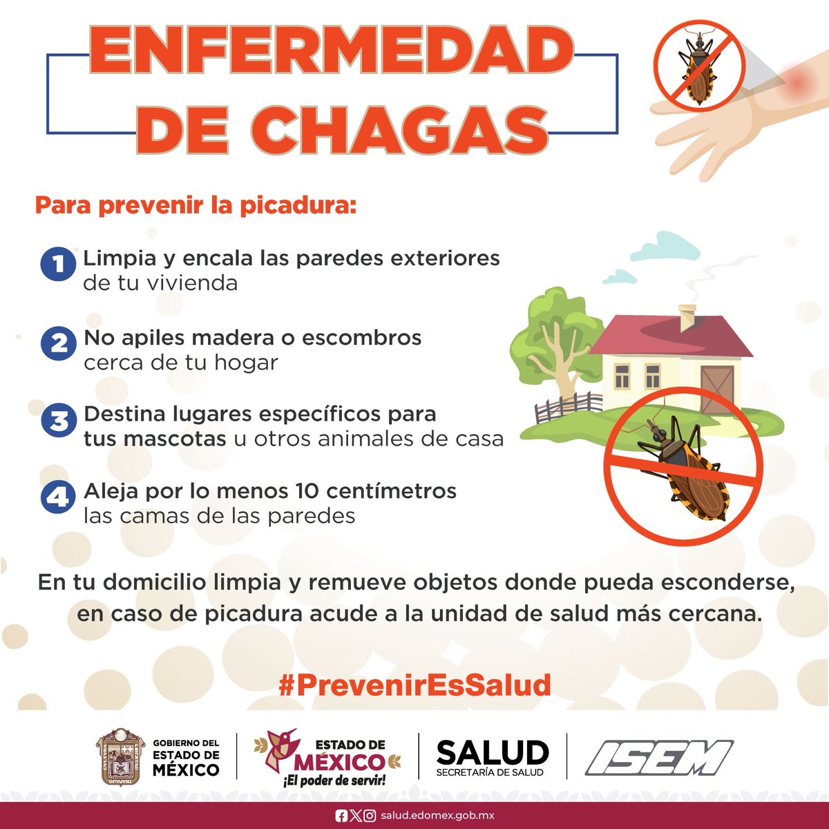 SaludEdomex's tweet photo. ¿Sabes qué es la enfermedad de Chagas? 🪳
Es transmitida por la picadura de la chinche besucona y puede afectar el corazón y otros
órganos si no se atiende a tiempo.

Si fuiste picado o sospechas de la presencia de chinches, acude de inmediato a tu unidad de salud más cercana. https://t.co/Ch1zVa2pwy