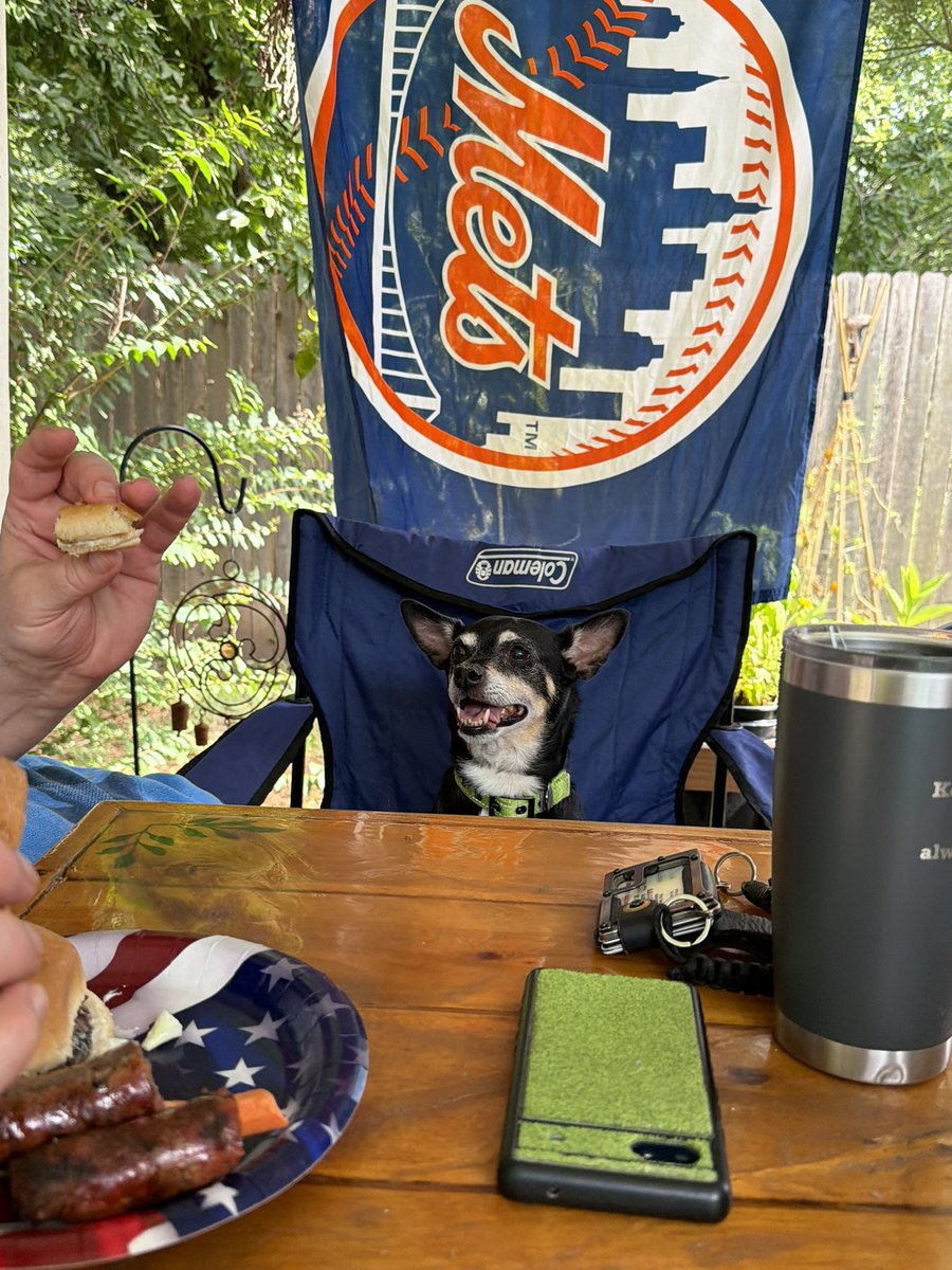 ohjazzyjazzy's tweet photo. Happy 4th of July to Gus, and Gus only! https://t.co/dpw0DsKnPC