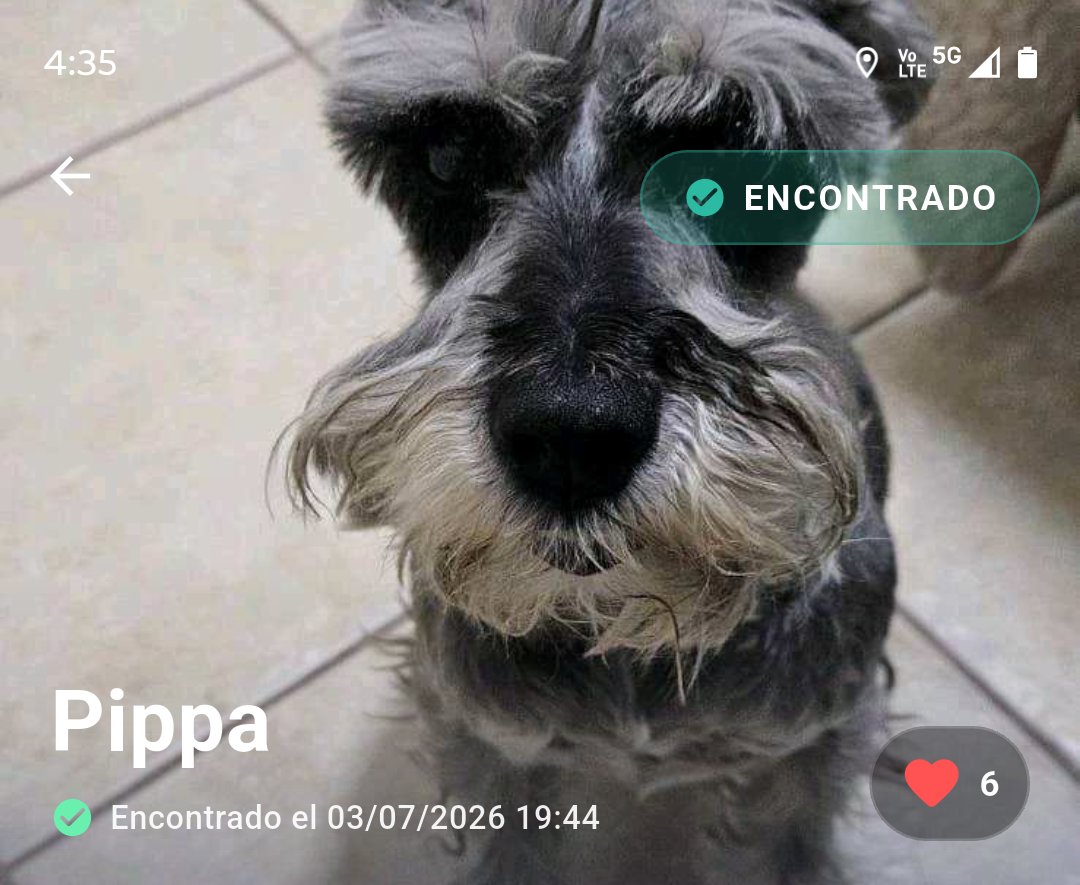 PawFindr - Mascotas Perdidas tweet media