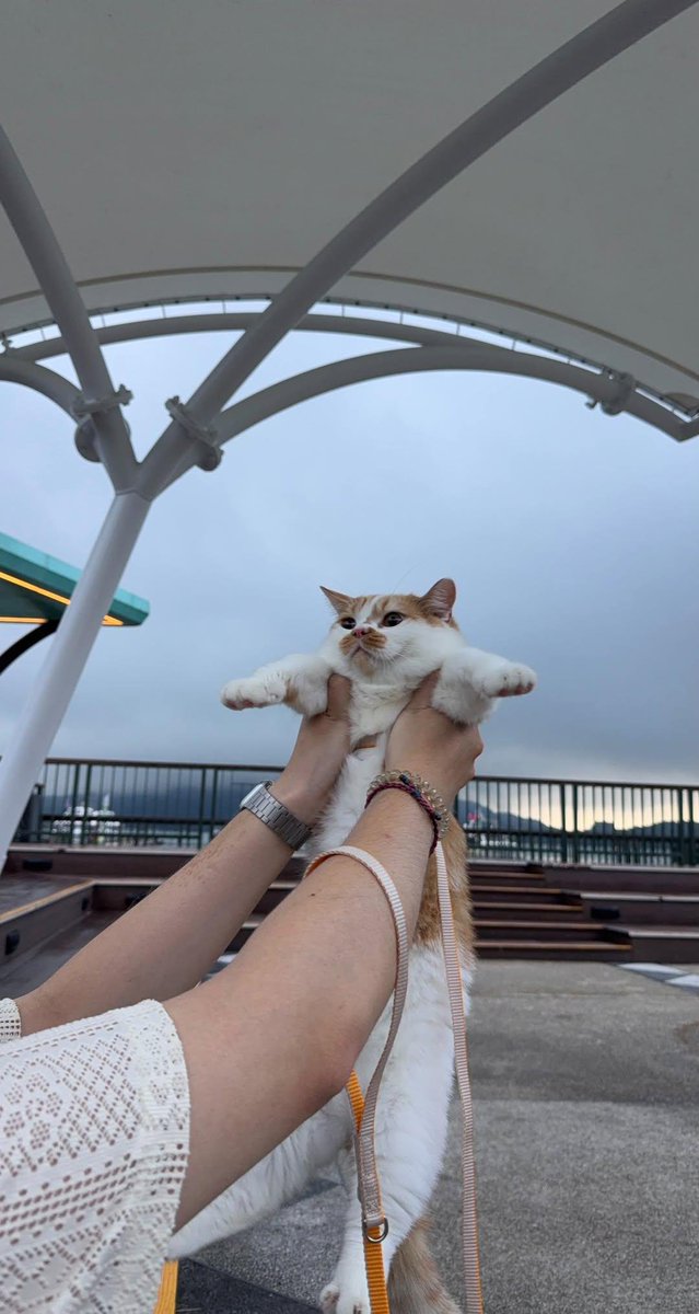 Wholesome Side of 𝕏 tweet media