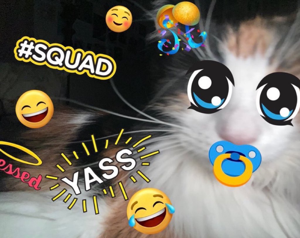 rhalicent's tweet photo. @fawnfigs @ioseruser ILY MORE https://t.co/J5DASMntfw