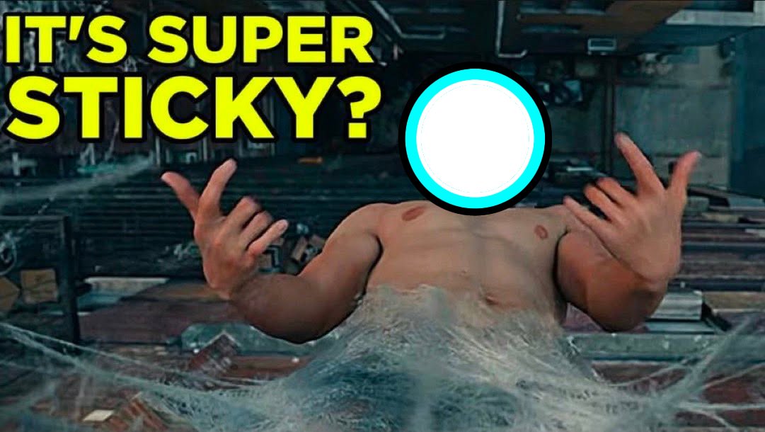 StickyEC tweet picture