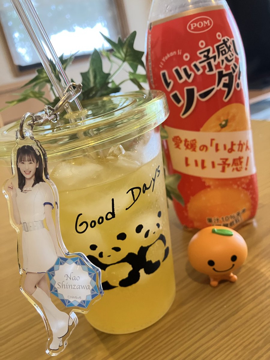 mrutsukun's tweet photo. 【旅の名産⑧】👌

おはようございます😃

ネーミングに笑っちゃう’みかんの国’愛媛県の有名飲み物よ😜

🍊「いい予感しソーダ！
　　〜愛媛のいよかんいい予感！〜」

果汁10%未満、炭酸… NMB48 #新澤菜央 さん🐼🩷にはひと口飲んでから叫んでみてね🤣

〈世界に贈る 愛媛のみかんと ポンジュース〉 https://t.co/HoG4AIhL8Z