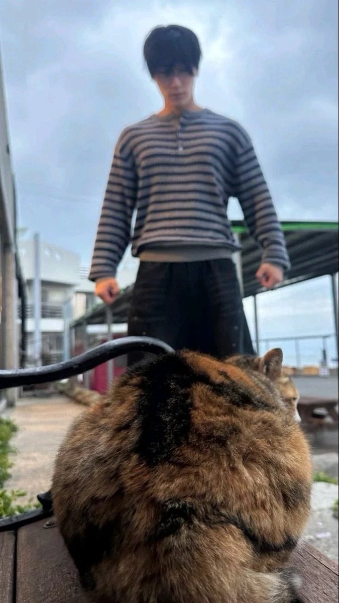 OwnedBySannie's tweet photo. Good night my lovelies have a sweet dreams and sleep well 💜💜🫂🫂 here sannie vs cat https://t.co/sEjTKSSM6X