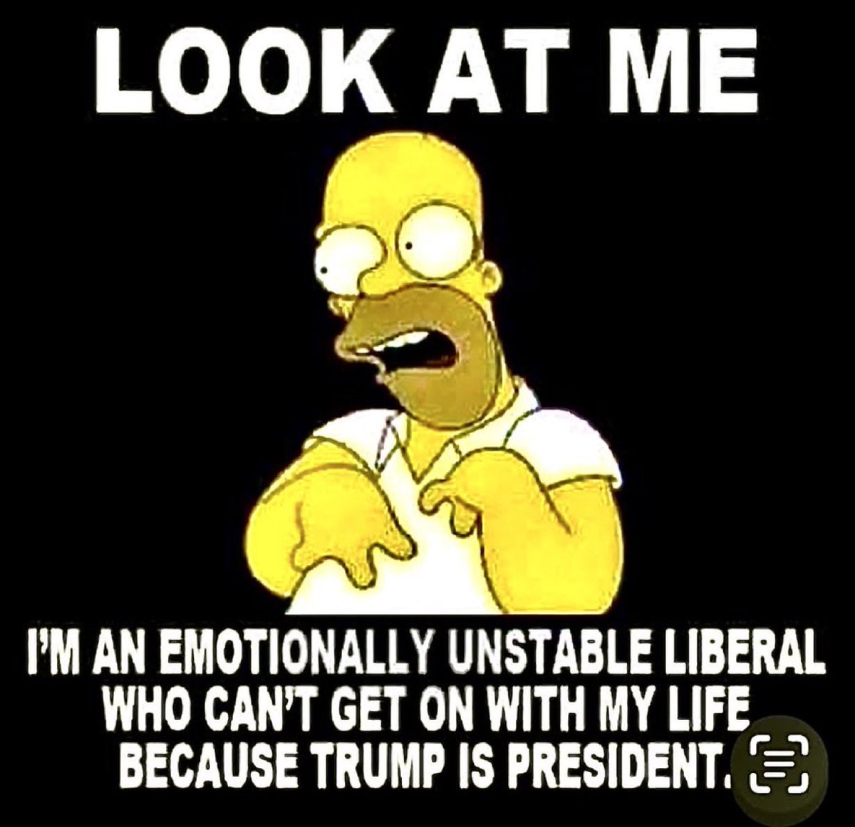 DudefromSpfld's tweet photo. @disclosetv The TDS march https://t.co/Hxn18UIWyg