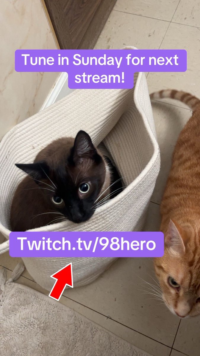 NOT_FULLY_BLACK's tweet photo. @KaiCenat I’m streaming July 5th https://t.co/Mu0KZHC4sM