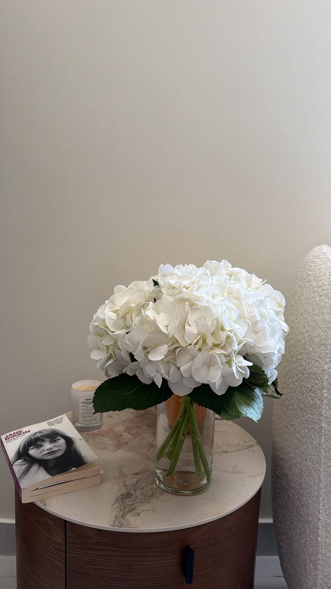 CircuitWink's tweet photo. my little corner of the world 🕯️🪞🦢🧺 https://t.co/zQjaRqWRXb
