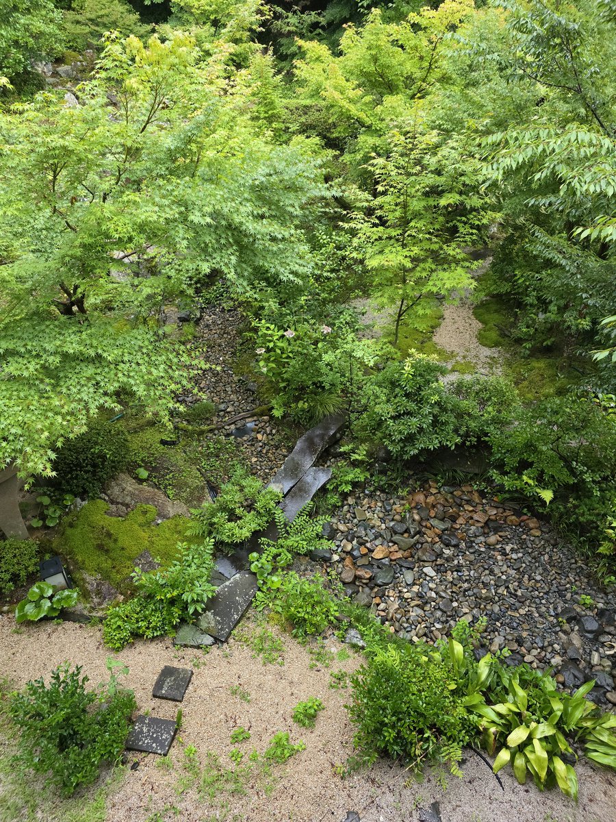 kinoko's tweet photo. おはようおはよう　雨がしとしと降ってます https://t.co/KIKBzjZllV
