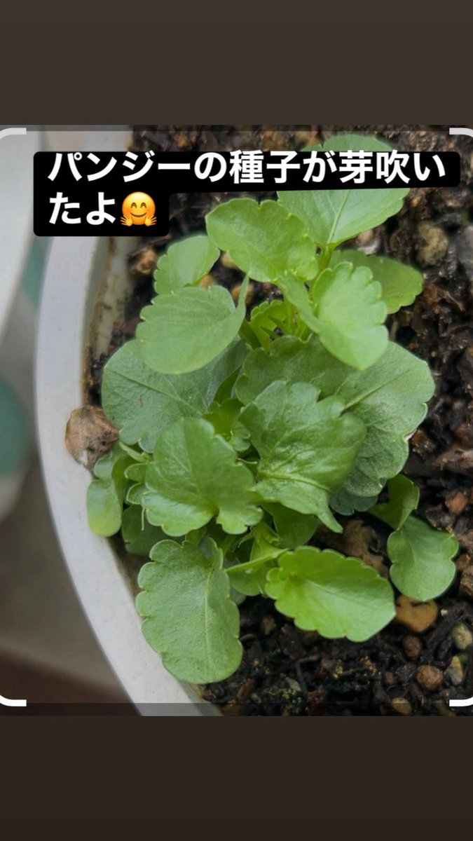 6WxVjkfC4Ea8TEC's tweet photo. ❤️‍🩹7月5日❤️‍🩹
おはようございます🤗
Happy Sunday 💫💕💫

愚痴るのをやめて「夢」を
語ろう！ https://t.co/lJgFUZn547