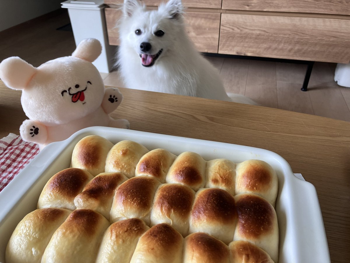 328_ryo's tweet photo. ちぎりパン焼けた！ https://t.co/GIukhwYnfE