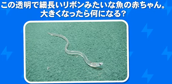 踊るピエロ【公式】 tweet media