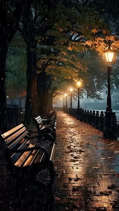 Mani9987_'s tweet photo. Being an adult is just saying 'after this week things will calm down' forever - Trị H. Đặng https://t.co/BPq7GUz5k8