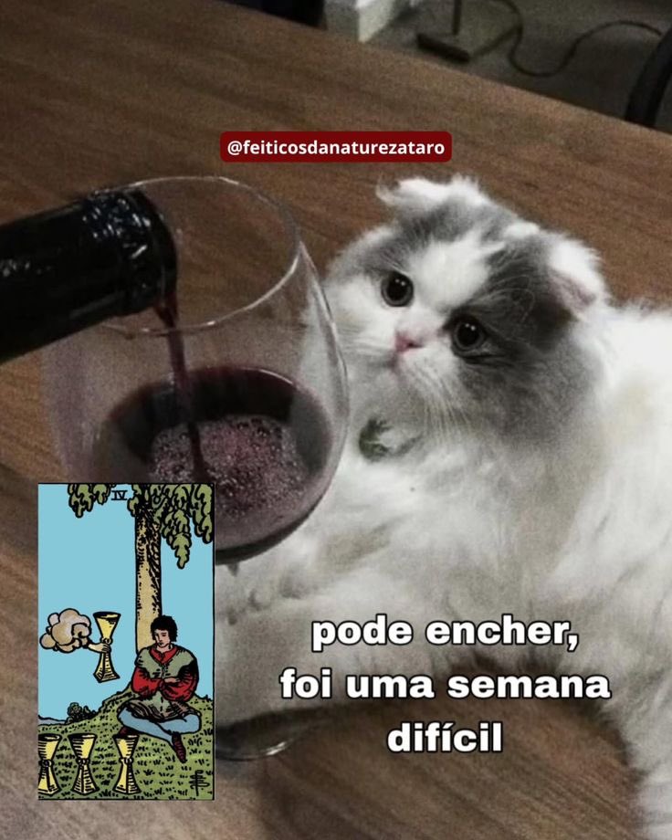 seerelois's tweet photo. https://t.co/mNaSUMyqCD