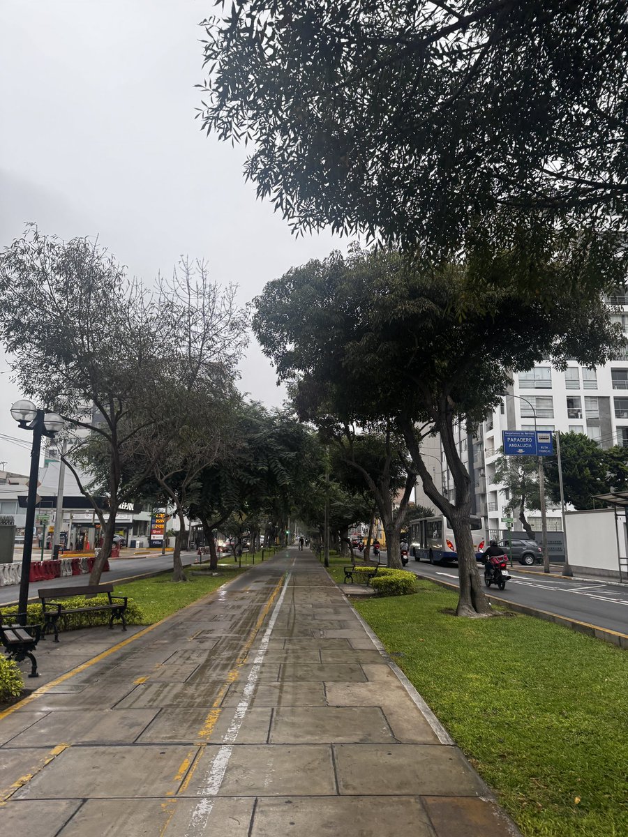 marmkive's tweet photo. *rains a little in lima* me in a second: https://t.co/8bLWTp3QDu