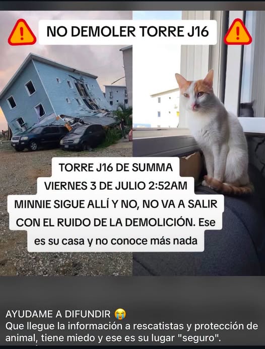 A64029345's tweet photo. DIFUNDIR https://t.co/kC9hrKKA5I