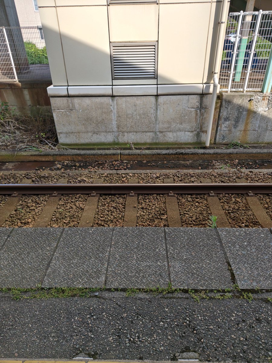 新飯田 tweet media
