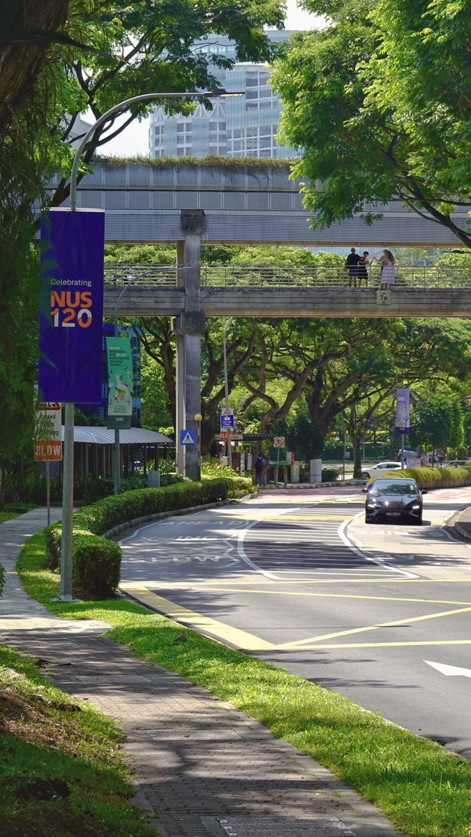 COSYCOSY258's tweet photo. 關於新加坡國立大學（三）

About “NUS” 3

#singapore #life #photography #travel #art https://t.co/6QwJzIGsn5