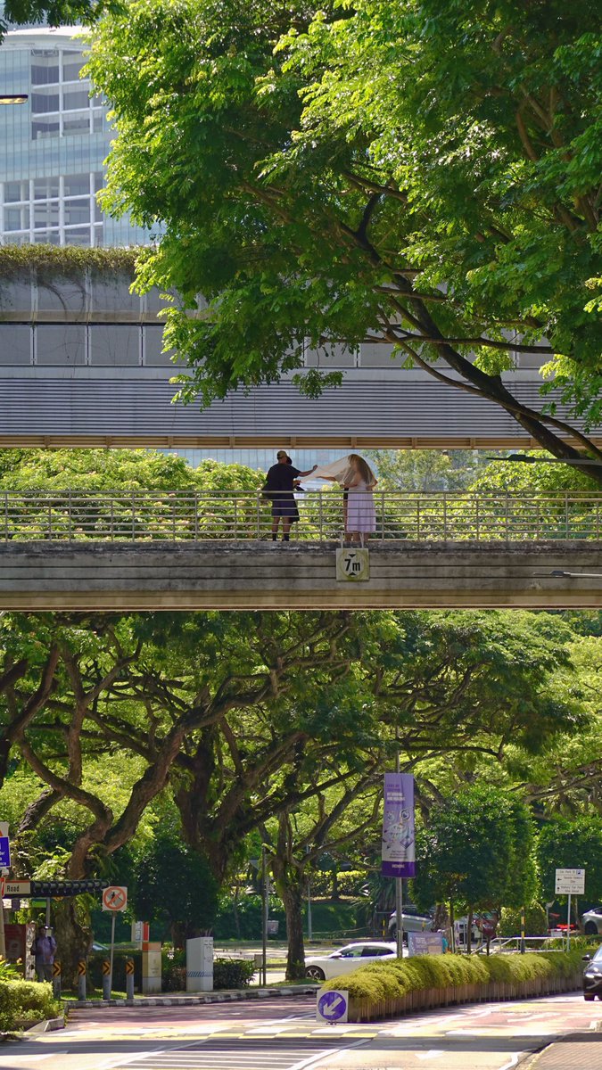 COSYCOSY258's tweet photo. 關於新加坡國立大學（三）

About “NUS” 3

#singapore #life #photography #travel #art https://t.co/6QwJzIGsn5