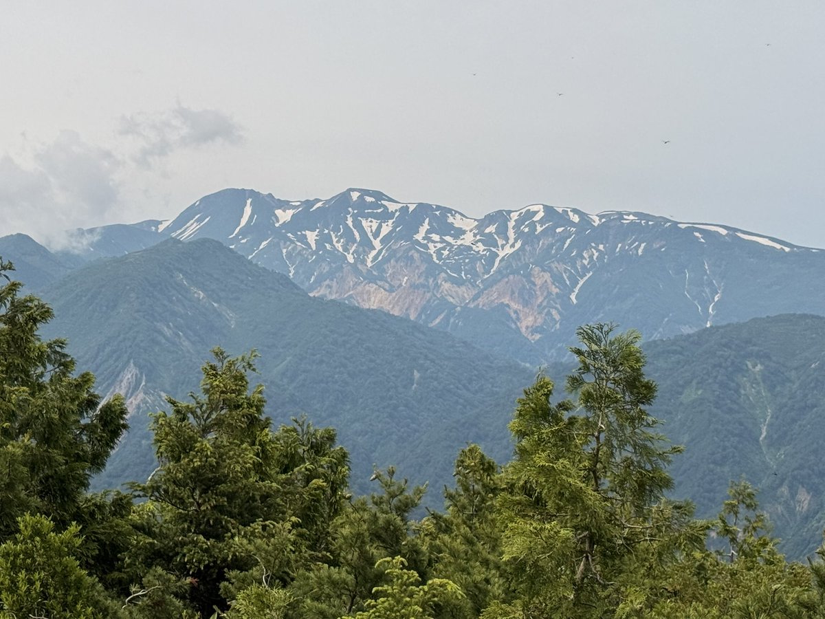 yasu1175's tweet photo. 梅雨の合間に、白山白川郷ホワイトロードで、三方岩岳へ
なんとか、白山連峰が見渡せよかった！ https://t.co/q8gyjWUyL4