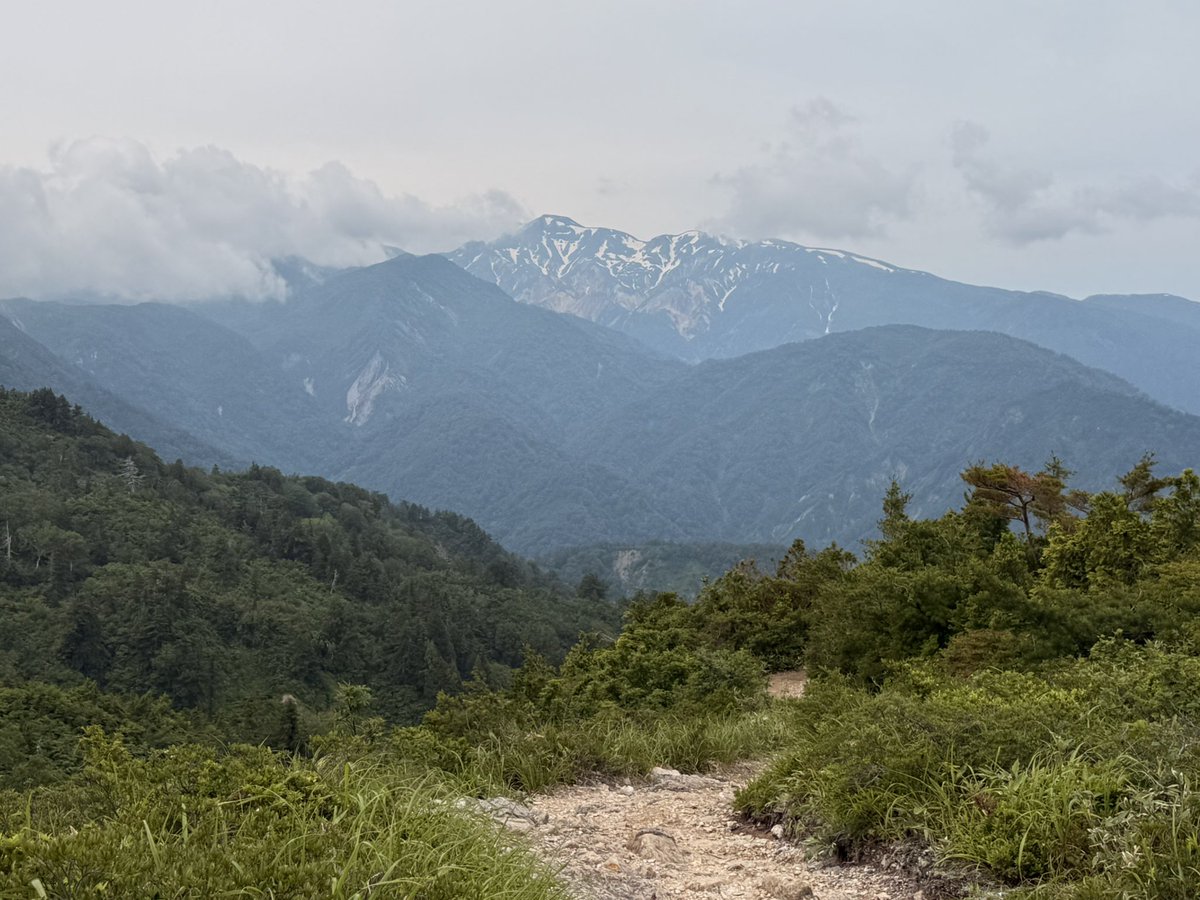 yasu1175's tweet photo. 梅雨の合間に、白山白川郷ホワイトロードで、三方岩岳へ
なんとか、白山連峰が見渡せよかった！ https://t.co/q8gyjWUyL4