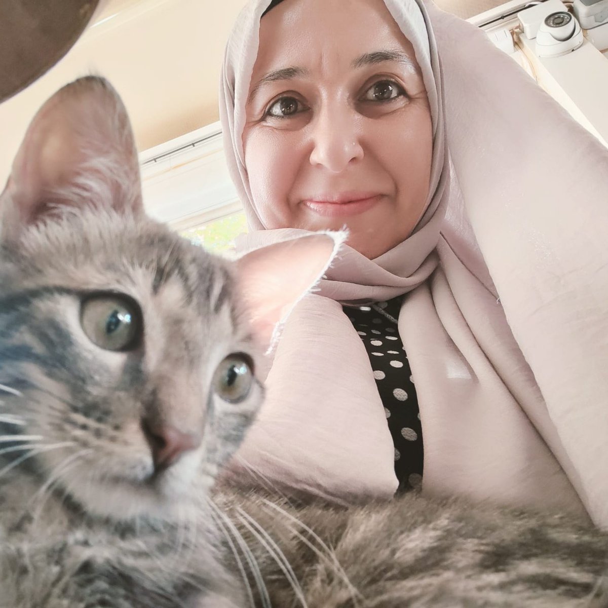 leylaerdogan06's tweet photo. https://t.co/kjga0hAZCT