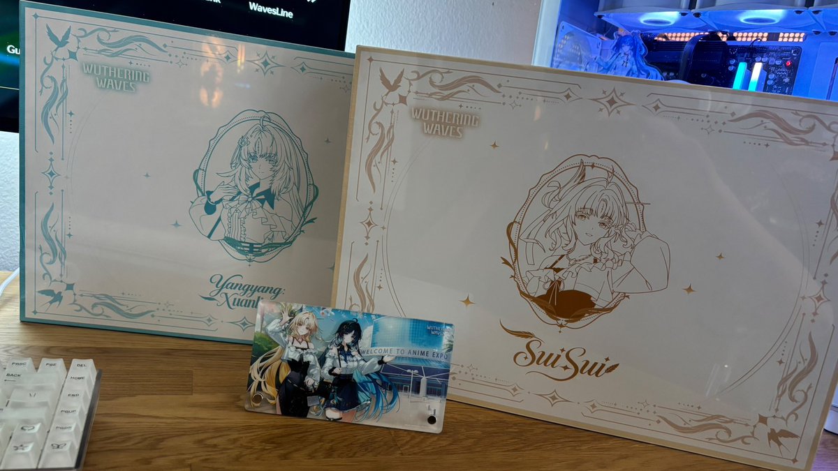 jarcanine_'s tweet photo. the anime expo exclusive wuwa merch was just incredible ✨ https://t.co/NU1cfTLvnS
