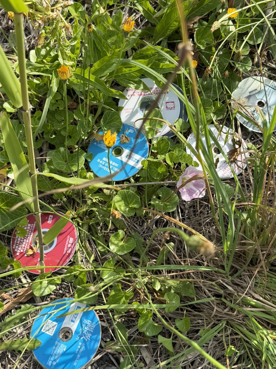 kurimarronch's tweet photo. んだよここAVの1級ポイントかよ https://t.co/pawKZp9XuC