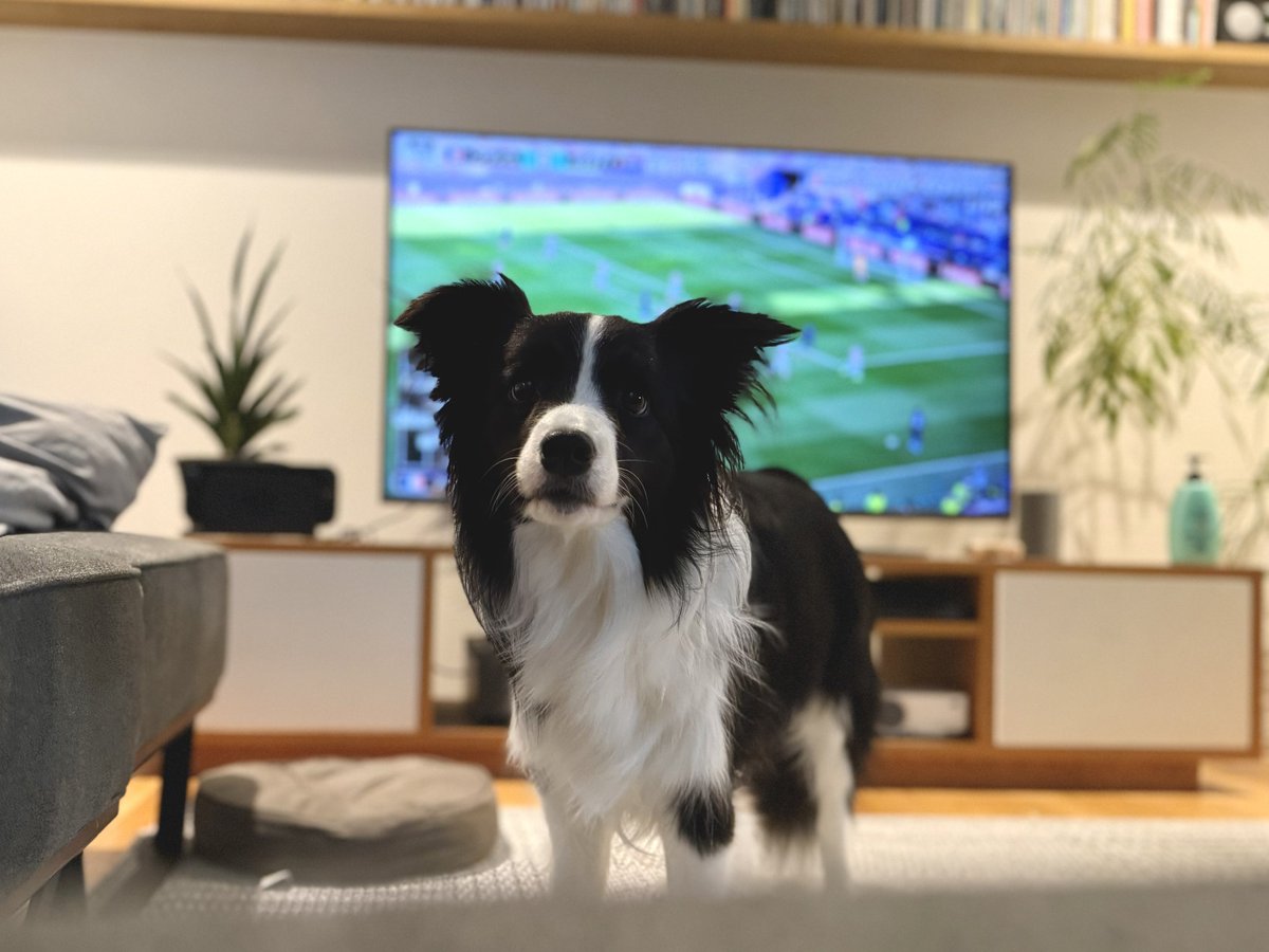 MiruBorder's tweet photo. あたしとW杯どっちが大事なの https://t.co/gShC8oBkXz