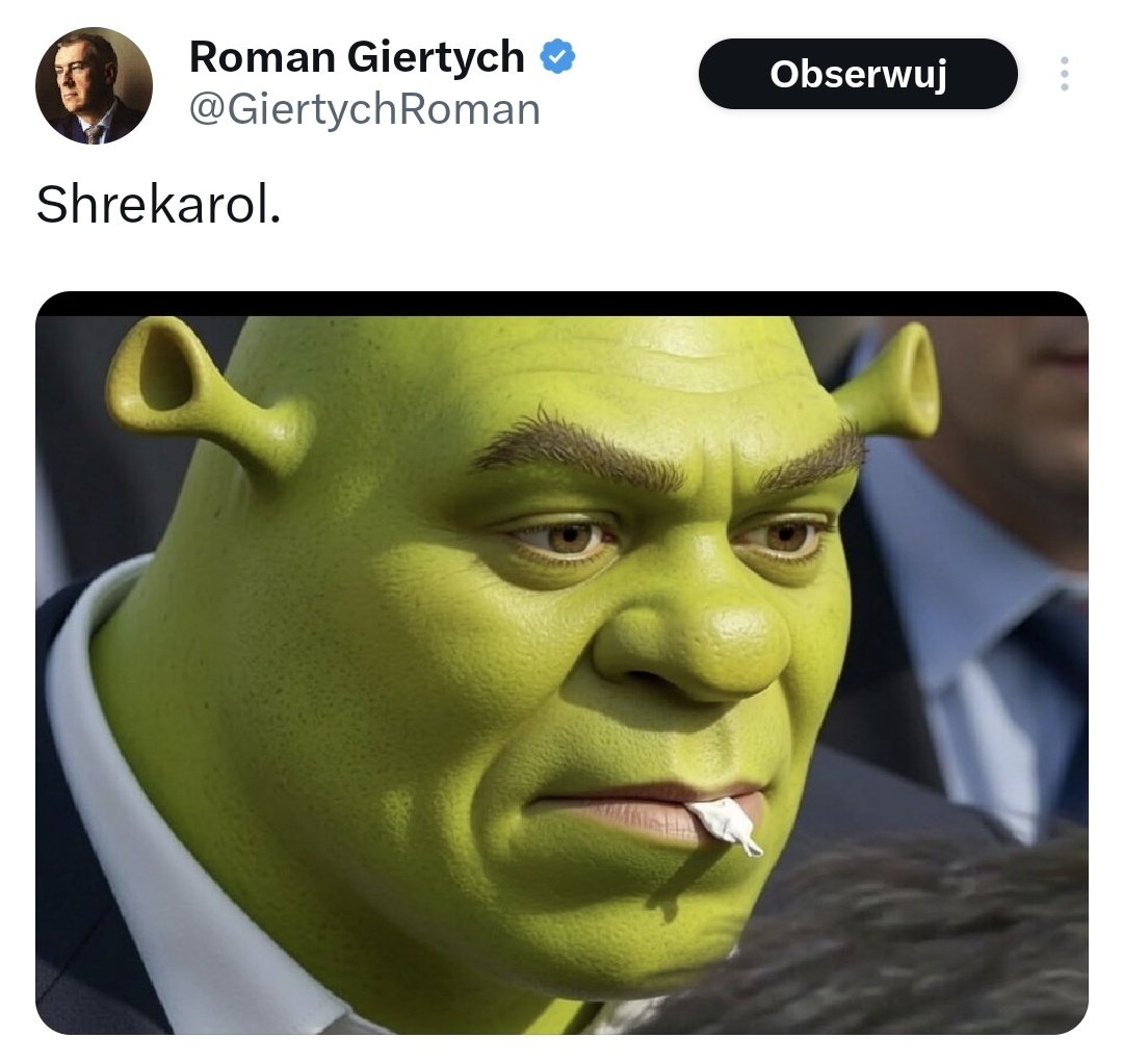 ProfesorPingwin's tweet photo. Opowieść o mężczyźnie, który mimo swojego pochodzenia i ogólnej pogardy jaką wzbudza wśród elit uporem i samozaparciem przezwycięża przeznaczony mu z góry los, zdobywa kobietę, która go kocha, sympatię ludu i wpływa na losy całego państwa pokonując lalusiowatego pajaca z urojeniem wyższościowym - faktycznie, Nawrocki jest jak Shrek.