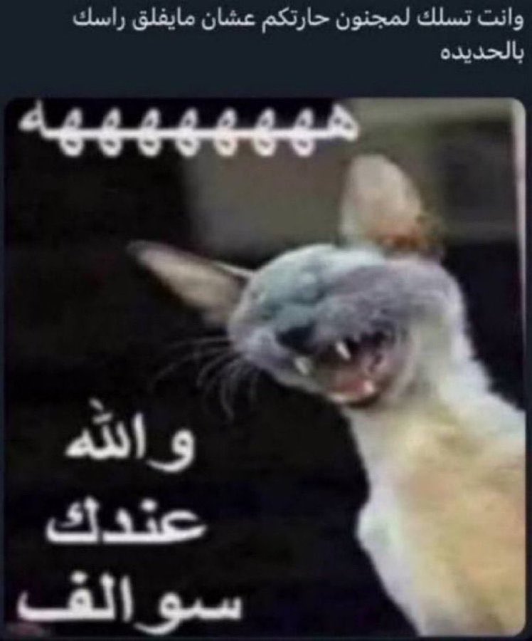 _Ra77an's tweet photo. باركولا مع مدافع الباراغواي قبل شوي: https://t.co/JU6pjXwdn6