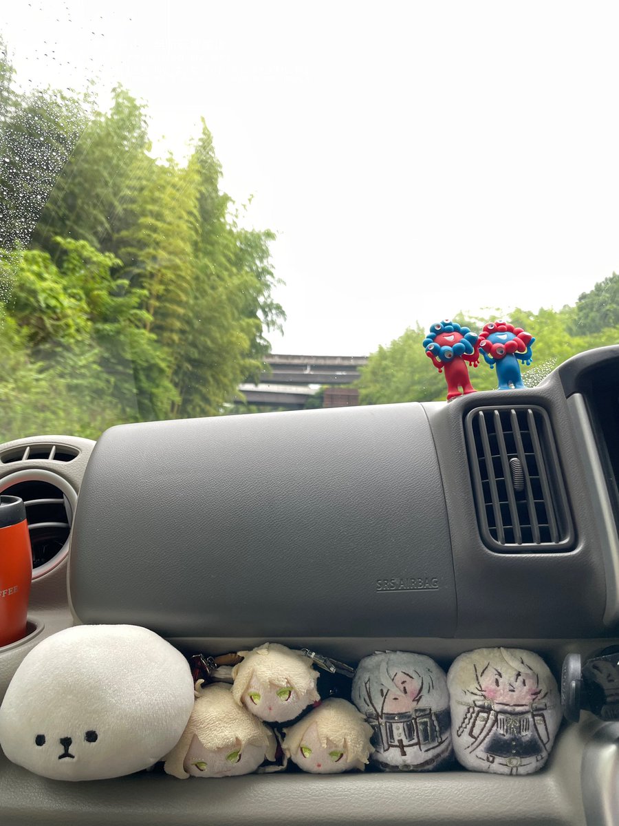 しょうこだよ出品 いきますのよ！！！！
