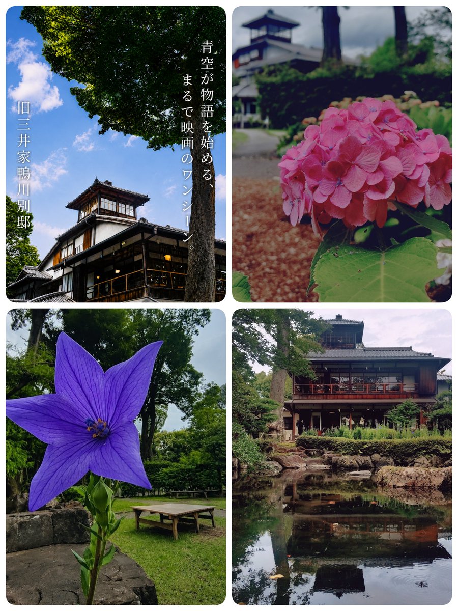 Komo1977's tweet photo. 明治の時が
今日の風にふっと混ざる。
旧三井家下鴨別邸。
水無月の光が庭を染めた瞬間が
忘れられない。
桔梗、紫陽花、リフレクション。
全部が京都の夏の入り口。
#旧三井家下鴨別邸
#桔梗
#紫陽花
#リフレクション
#水無月
#京都好きな人と繋がりたい
#エモい瞬間
#エモい写真 https://t.co/WTkCaZlHA5