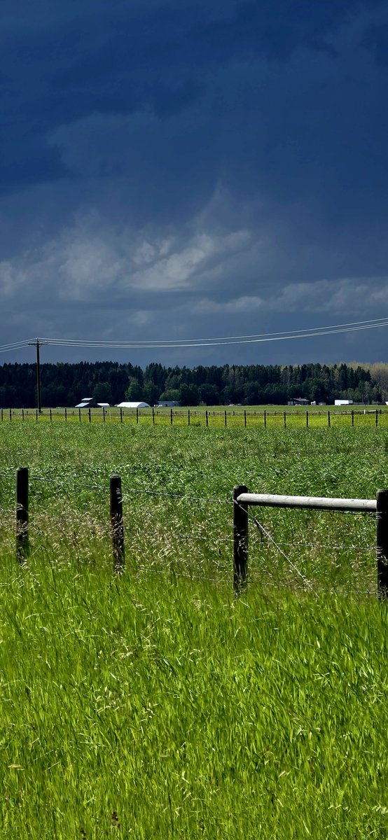 RFD_Maverick's tweet photo. #abstrom chilling over Burnstick lake. 4:30pm https://t.co/tXWG4vUS5d