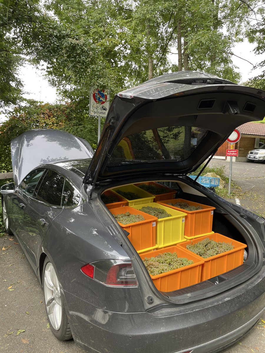teslaxander's tweet photo. Die Serie »Tesla: Das Stauraum-Wunder«, geht weiter. 

Die 5-köpfige Familie von @OliverKunstman_  hat locker Platz für:
• 2x große Koffer
• 2x Handgepäck (einer Subtrunk, einer im Frunk)
• 1 x Rollstuhl
• 2x  Krücken
• 2x Rucksäcke
• 1x Kühlschrank

und @DaniZollinger
fährt mal eben 18 - ACHTZEHN - Kisten mit Weintrauben durch die Gegend. In vino et in Tesla veritas. 🍇

-------------

Wenn du denkst, dass dein Nicht-Tesla das auch kann, machs nach. Schickt mir weiter eure Fotos, dann machen wir mit der Serie weiter. 
Ich bin 25 Jahre sämtliche Automarken gefahren, so ein Raumwunder habe ich noch nie erlebt.
