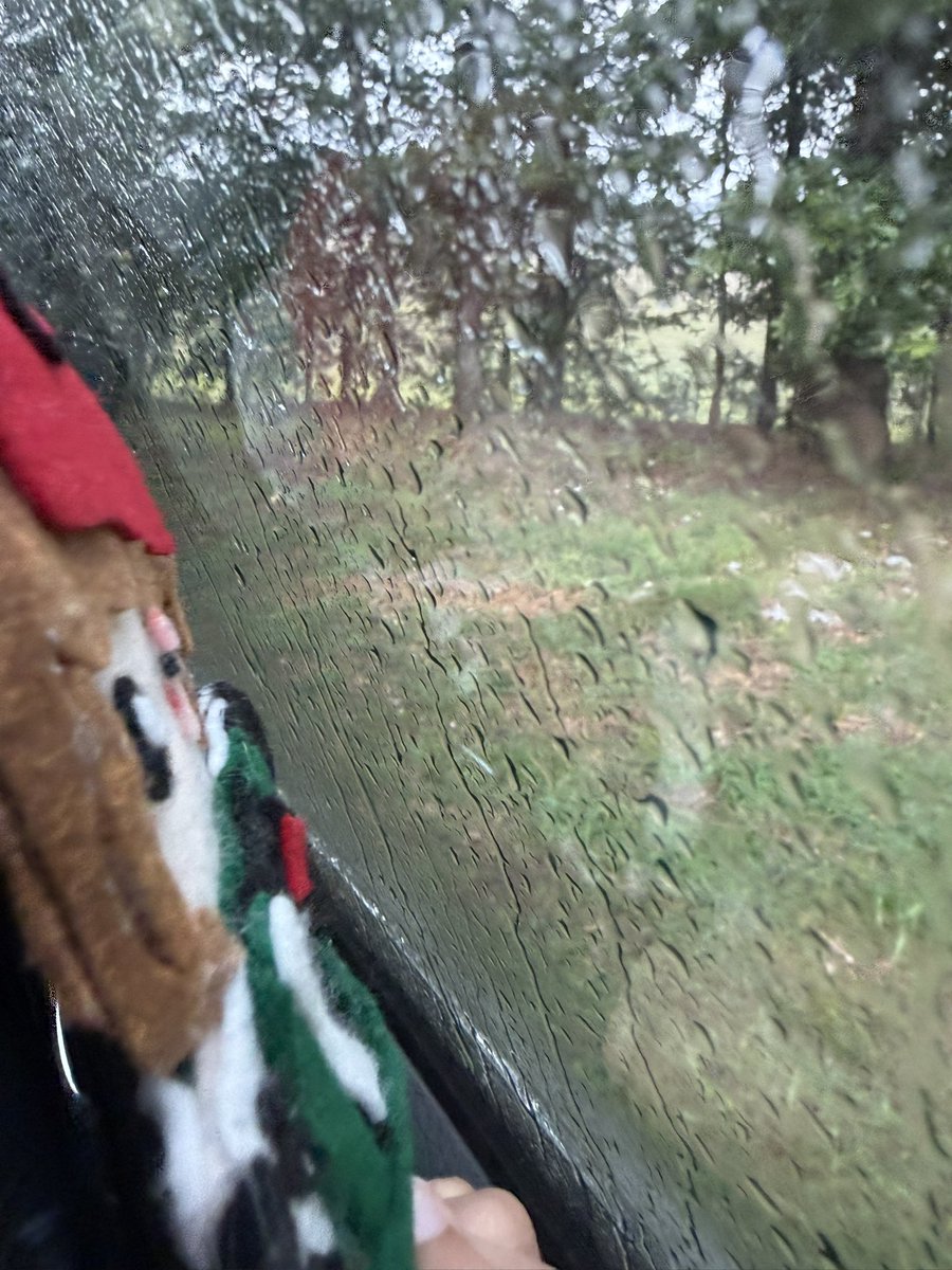 missconstrction's tweet photo. my little forzen.. #hlvrai https://t.co/AP2bnQwVu3