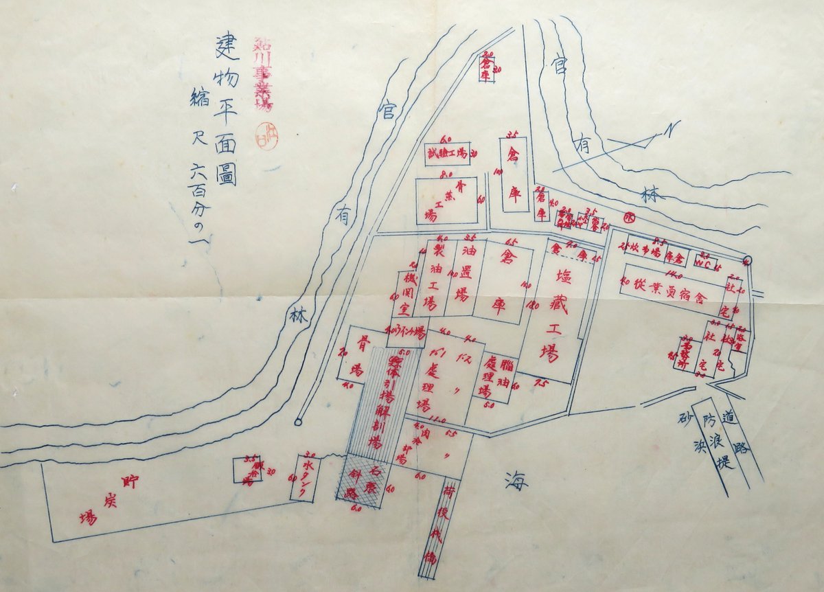 TAKEUCHIKENJI5's tweet photo. 鮎川(向田)捕鯨事業場図面(日本近海捕鯨時)
6月26日㈱鮎川捕鯨が自己破産申請のニュース。1906年(M39)同社所在地に東洋漁業が捕鯨事業場を建設した鮎川の捕鯨発祥地。東洋漁業→東洋捕鯨→日本水産→日本近海捕鯨→日本捕鯨→星洋漁業・日本近海→鮎川捕鯨と実に120年間 脈々と続いたが。 https://t.co/pNtKe5w6Xw