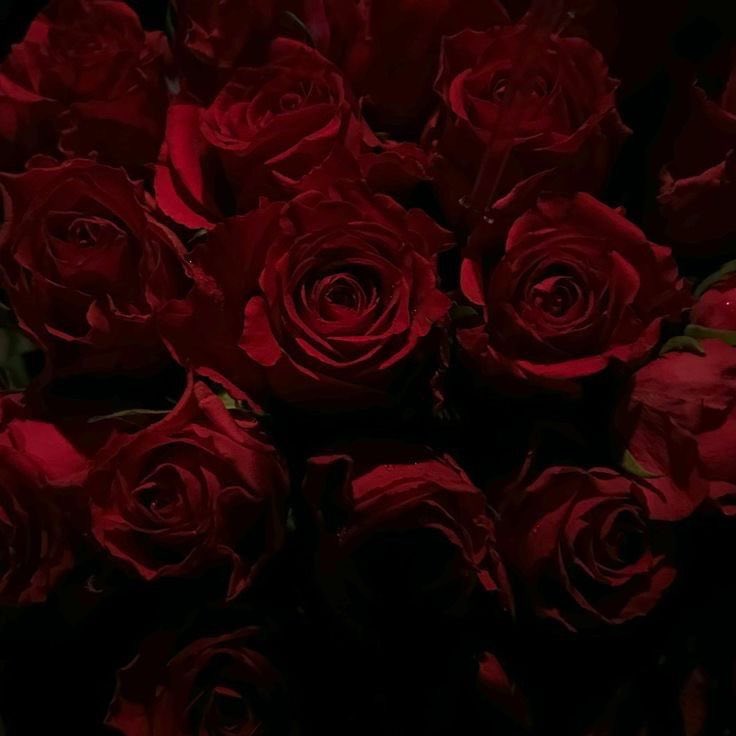 Livymoomoo's tweet photo. ʚ . ɞ
𝐿𝒾𝓋 <3

𝒮𝒽𝑒/𝐻𝑒𝓇
𝟤𝟣
𝒮𝓊𝒷𝒷𝓎 𝒫𝓊𝓅𝓅𝓎𝑔𝒾𝓇𝓁
𝒟𝓂𝓈 𝒪𝓅𝑒𝓃🤭
𝐻𝓂𝓊<𝟥 https://t.co/TLCYwMLPYF