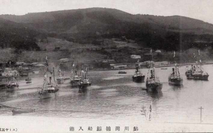 TAKEUCHIKENJI5's tweet photo. 鮎川(向田)捕鯨事業場図面(日本近海捕鯨時)
6月26日㈱鮎川捕鯨が自己破産申請のニュース。1906年(M39)同社所在地に東洋漁業が捕鯨事業場を建設した鮎川の捕鯨発祥地。東洋漁業→東洋捕鯨→日本水産→日本近海捕鯨→日本捕鯨→星洋漁業・日本近海→鮎川捕鯨と実に120年間 脈々と続いたが。 https://t.co/pNtKe5w6Xw