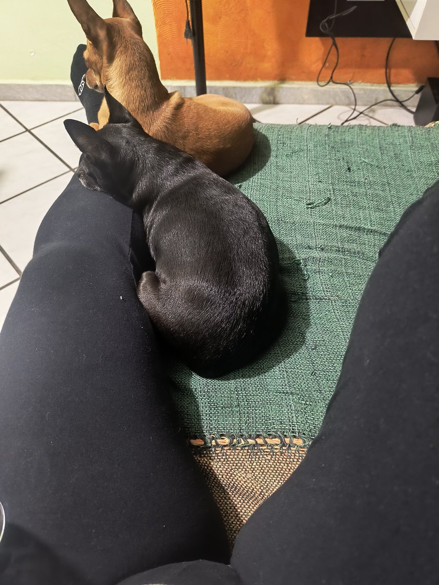Letícia tweet media