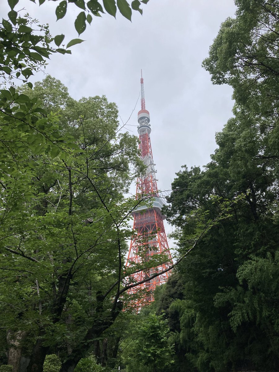 YU287030004's tweet photo. 昨日は久々の東京タワー🗼
#TTASTORE さんで買い物してステッカーいただきました😊
写真集も展示会も楽しみです🤗
帰りに増上寺にお参り
七夕の短冊に願い事を書いて祈願してきました🎋
#羽生結弦
#CoutureonIce https://t.co/dcc8ObaMLr