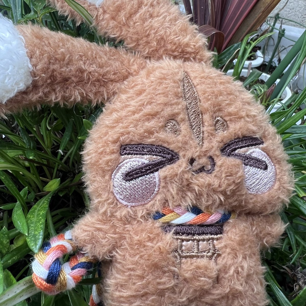 身代わり毛玉幻獣 いちごみるくちゃん おはようございます☔✨ メルカリオークションにてお家探し中の