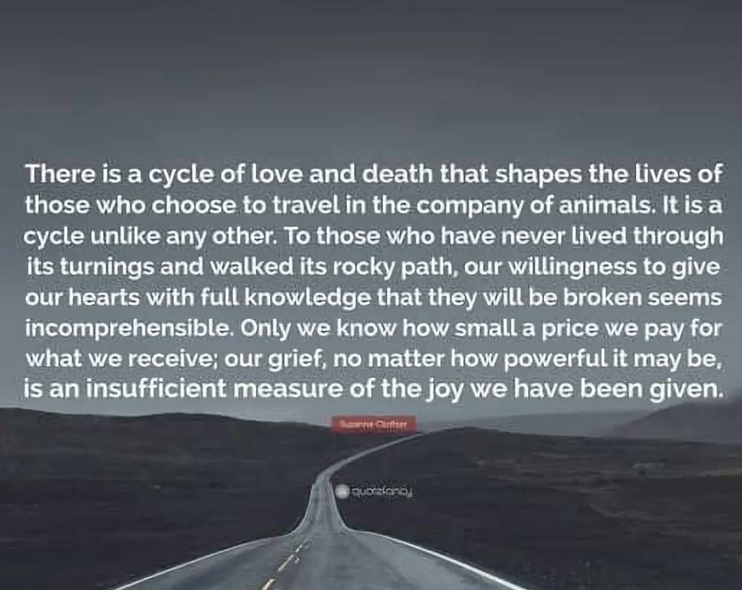 bradburn59's tweet photo. @Crazymoments01 💔😢🙏🏼🐾 https://t.co/vm8aZ0khY8
