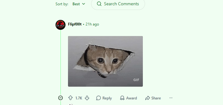bebitanton's tweet photo. This post on reddit of what appears to be a cat in a ceiling vent has 40k upvotes in less than a day, and all of the comments are comparing it to ceiling cat 

we all know how high ceiling cat went and now we have the next generation of it just as the bull market is starting

https://t.co/ZszP8ZyTbU