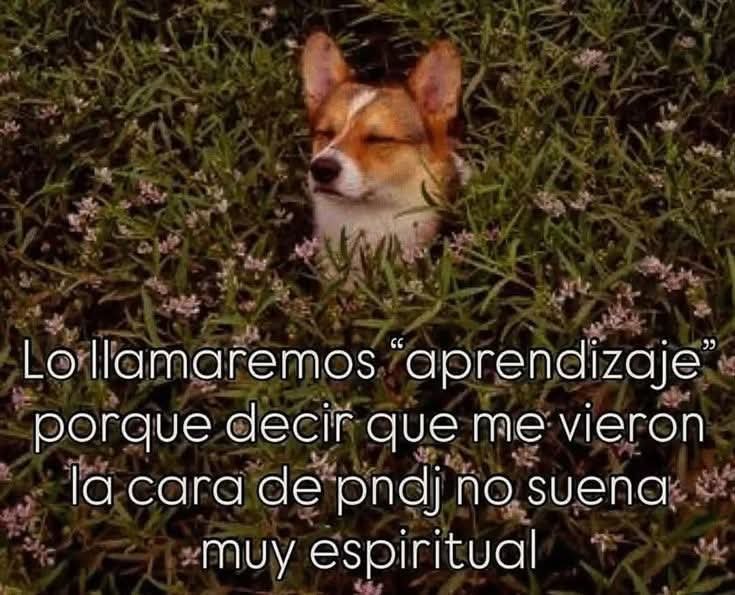 angelo_uf's tweet photo. https://t.co/S3fqak3yvK