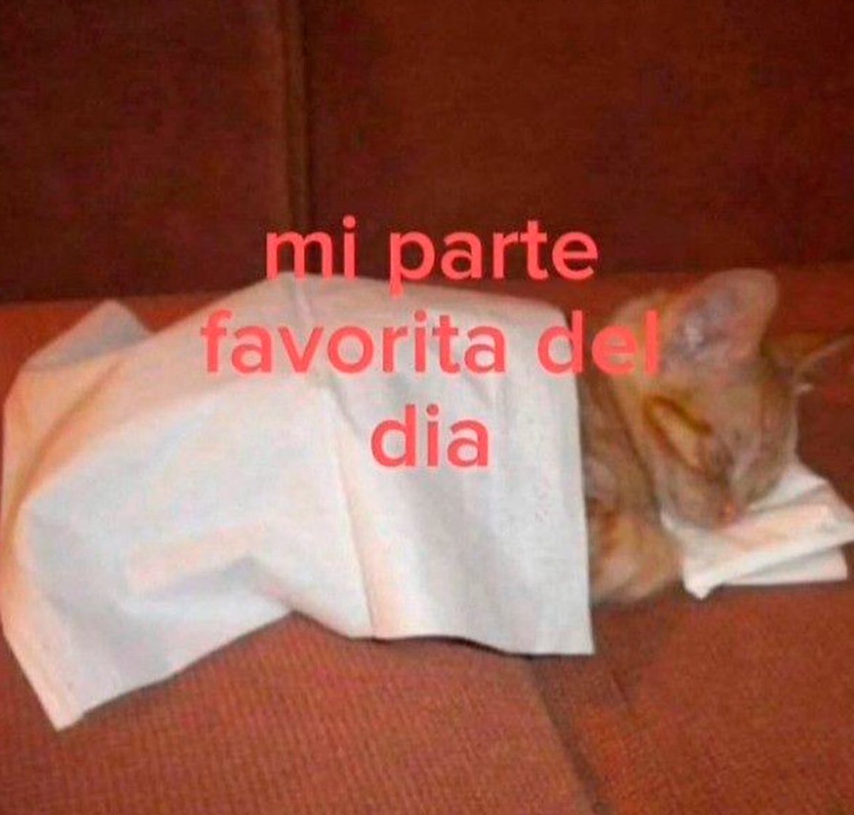 skereunpesado's tweet photo. https://t.co/7caYQeA8w4