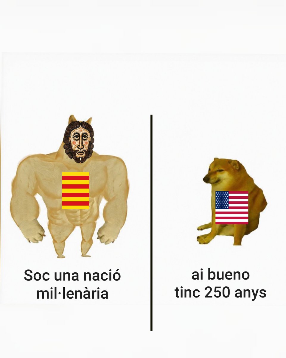 RomanicCatala's tweet photo. lo de Estats Units #memsromànics #america #gossos #quècollons #catalunya https://t.co/28as3wofMt